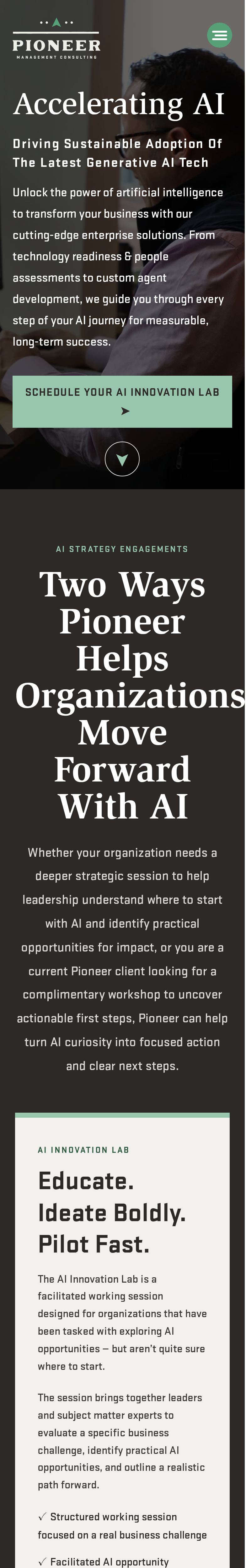 AI Consulting Services — mobile preview